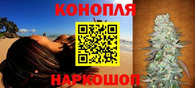 дмт Малгобек