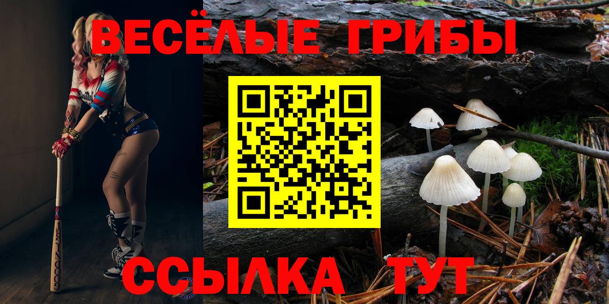 Псилоцибиновые грибы ЛСД Томск
