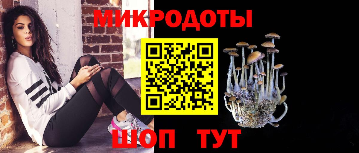 Томск  Галлюциногенные грибы Cubensis  Вход с VPN 